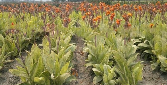 1628224792766248.jpg image.jpg