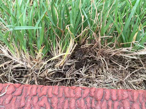 1628224874370012.jpg image.jpg