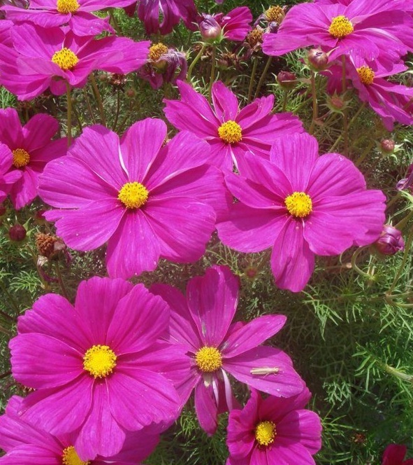 1628225021977303.jpg image.jpg