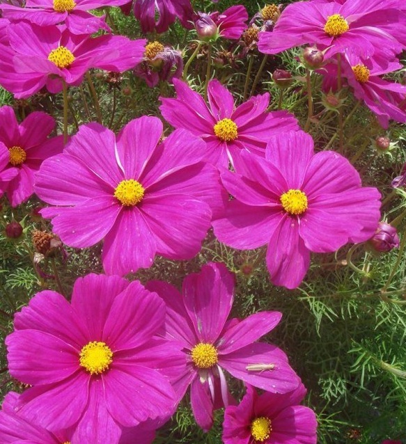 1628240392759477.jpg image.jpg