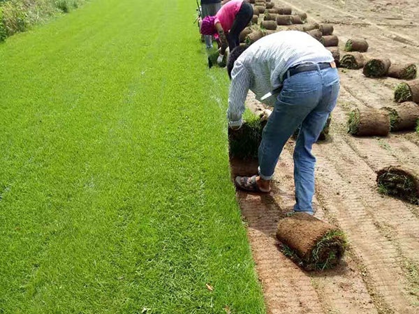 1628240475838418.jpg image.jpg