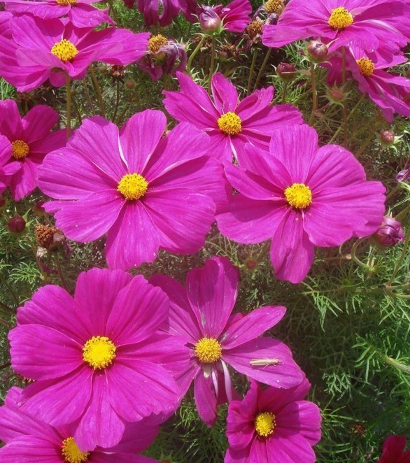 1628245690332198.jpg image.jpg