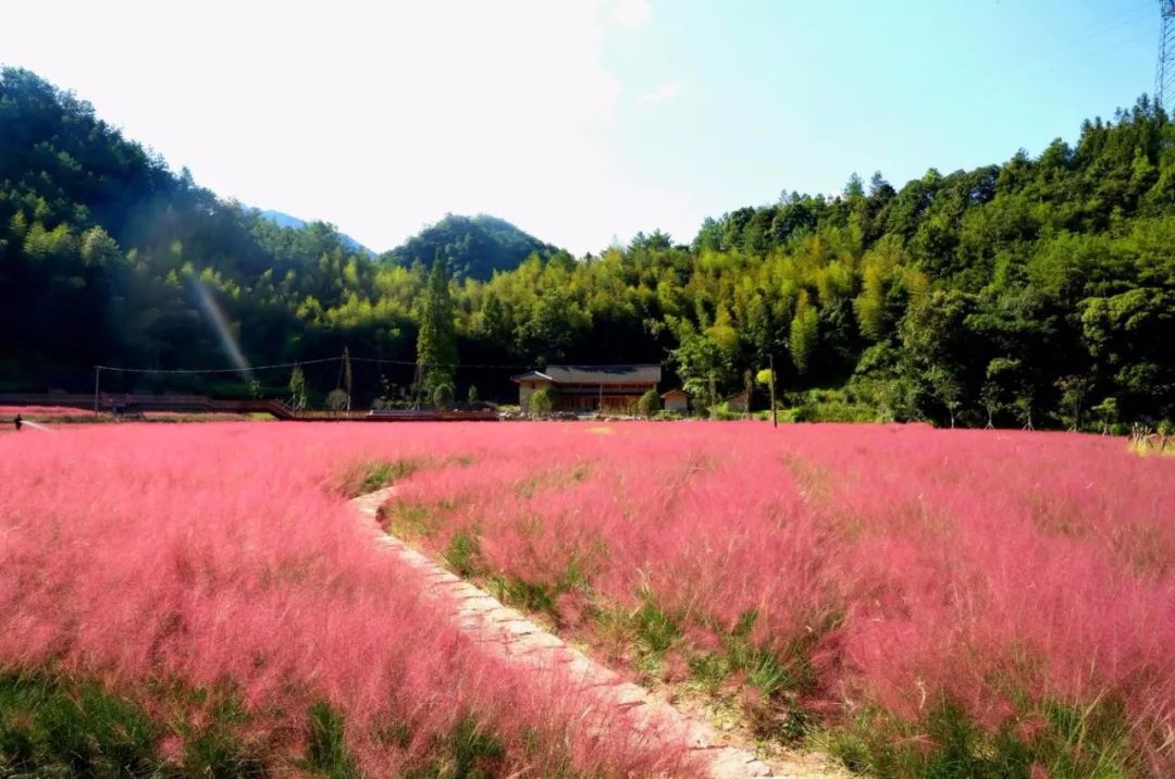 1628247761669828.jpeg 1628247761669828.jpeg