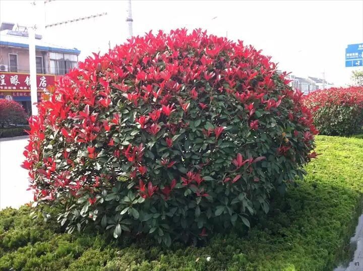 1628249693869982.jpg 1628249693869982.jpg