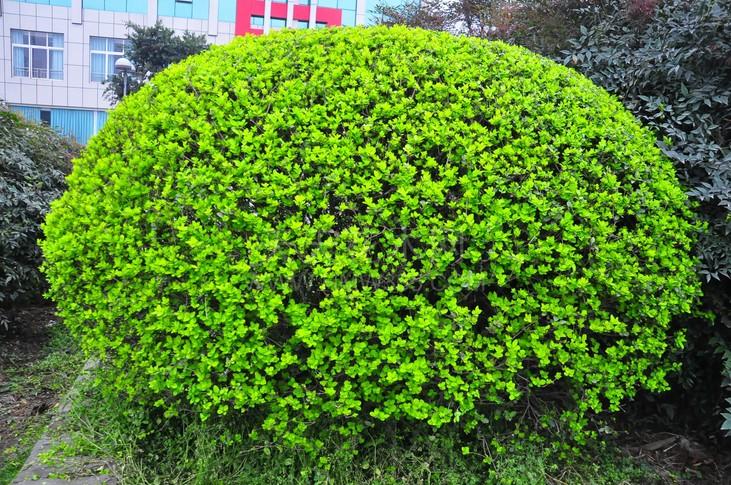 1628249935117617.jpg 1628249935117617.jpg