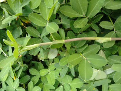 1628249973468984.jpg 1628249973468984.jpg