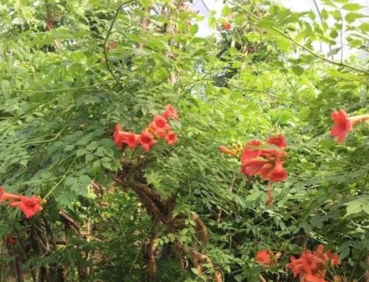 1628253671452702.jpg 360截圖20210806204053036.jpg