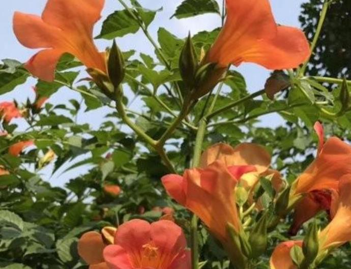 1628253687285267.jpg 360截圖20210806204037721.jpg