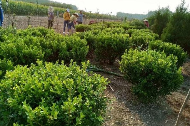 1628253745788192.jpg image.jpg