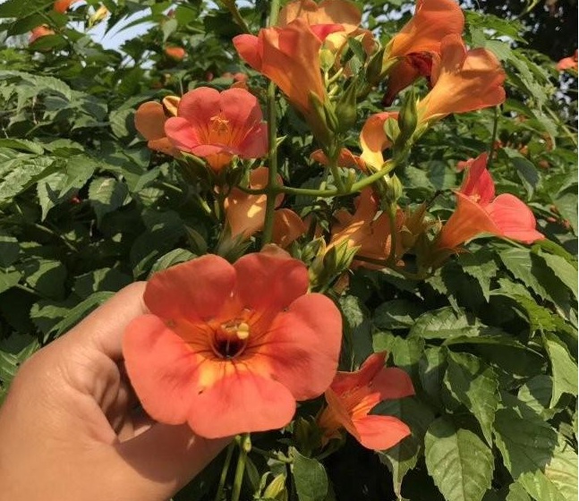 1628345412744319.jpg M[4T4KKBV2)LW`QQJ`B7`44.jpg