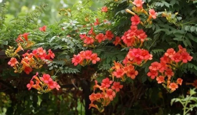 1628385841539422.jpg 2CRU3FX_ZOF%CFE5`{VMVN5.jpg