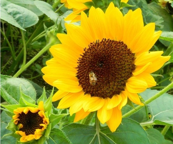 1628422755969243.jpg 1628422745(1).jpg