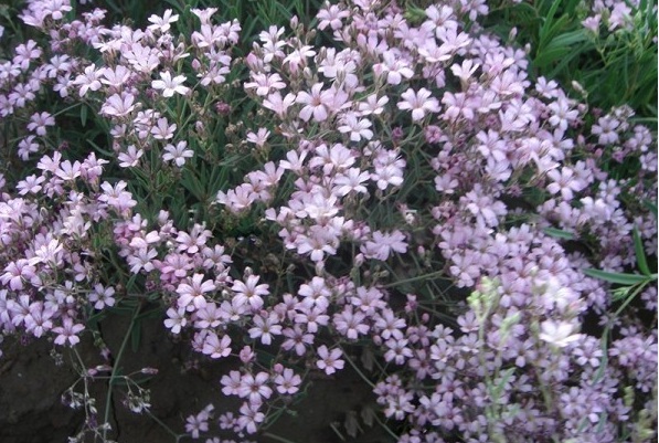 1628424786891975.jpg 1628424778(1).jpg