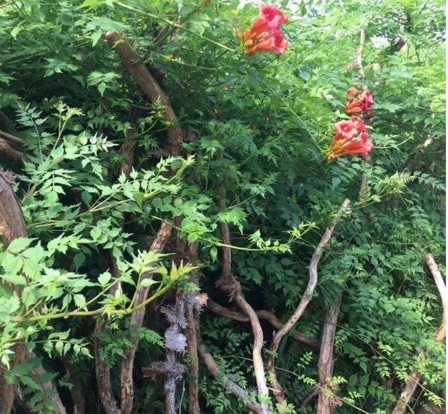 1628428956543213.jpg 1628428914(1).jpg