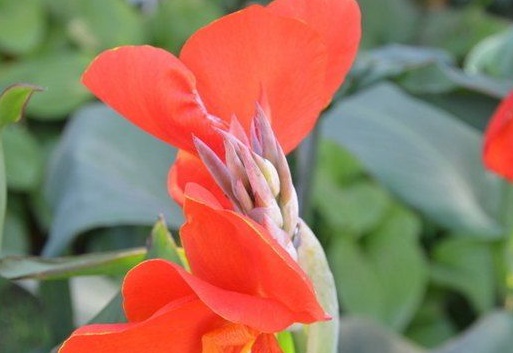 1628477147716720.jpg image.jpg