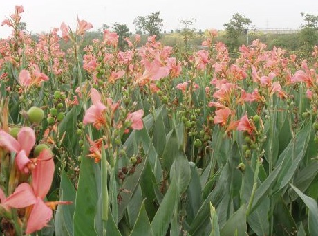 1628477166726011.jpg image.jpg