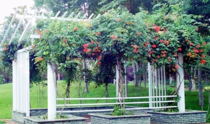 1628507326699627.jpg 1628507316(1).jpg