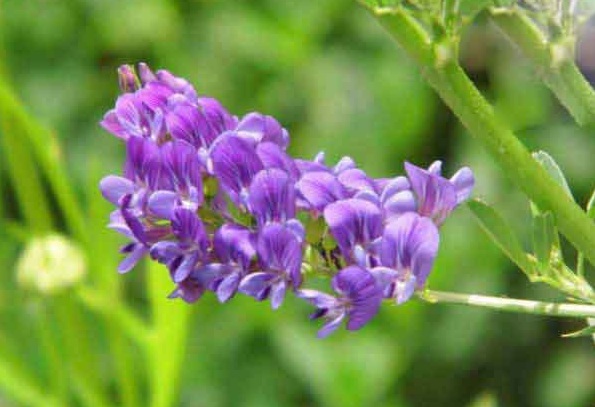 1628507598792379.jpg 1628507590(1).jpg