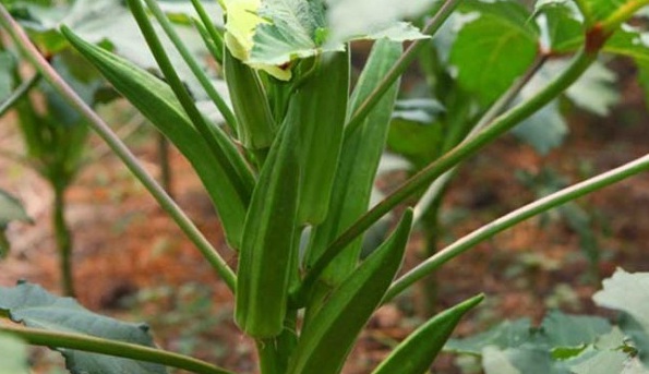 1628516099474559.jpg @0UW`~GHK~$MG}YQI`A$`EW.jpg