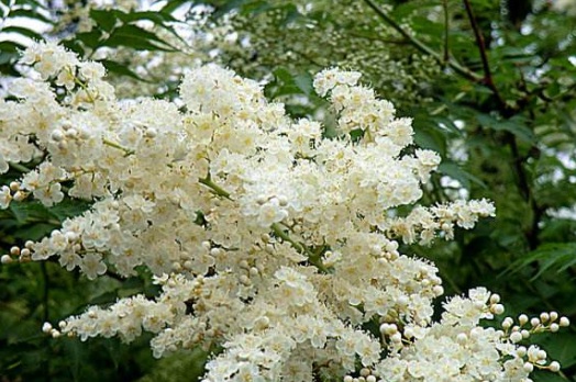 1628551701763566.jpg image.jpg