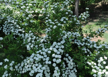 1628551713986602.jpg image.jpg