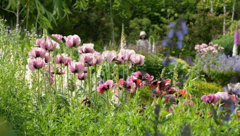 1628588253223088.jpg 1628588246(1).jpg