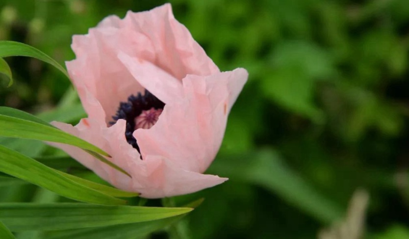 1628588287379828.jpg 1628588278(1).jpg