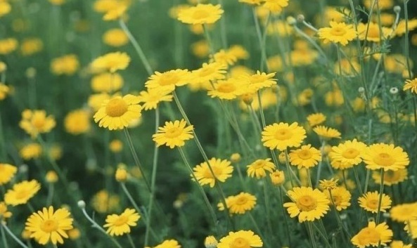 1628589134394609.jpg 1628589116(1).jpg