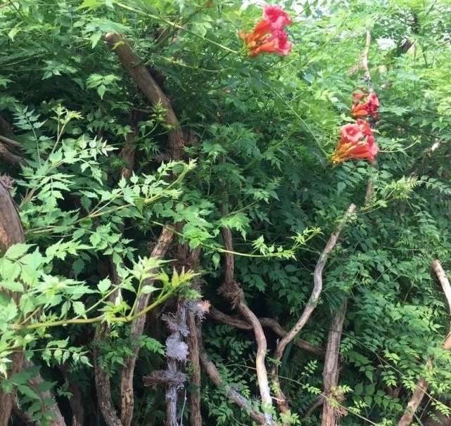 1628590275523510.jpg 1628590264(1).jpg