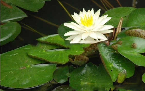 1628600587165622.jpg 1628600578(1).jpg