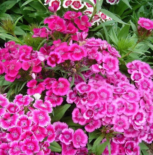 1628601395824287.jpg 1628601388(1).jpg