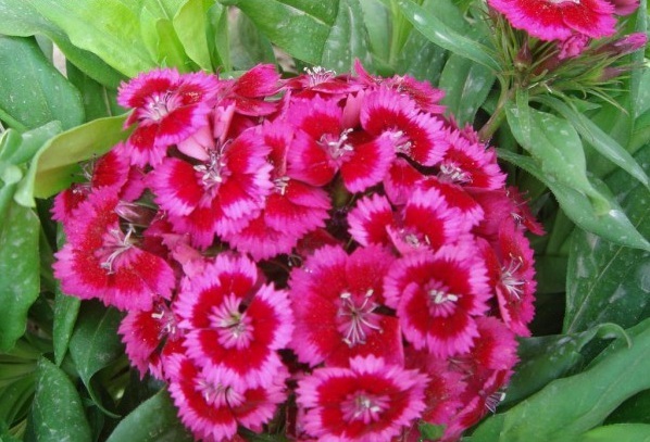 1628601430560809.jpg 1628601420(1).jpg