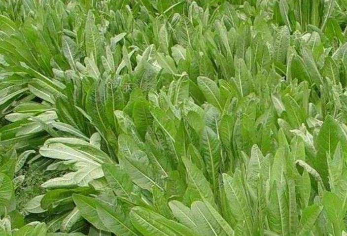 1628668177859373.jpg 聚聚.jpg