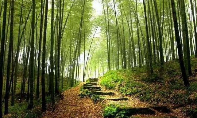 1628669039909007.jpg image.jpg