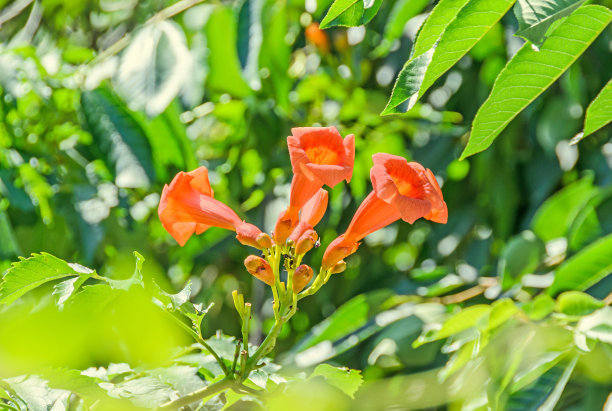 1628681380905247.jpg 1628681380905247.jpg