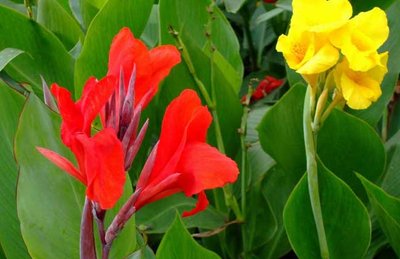 1628681844332327.jpg 1628681844332327.jpg