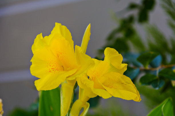 1628681882314154.jpg 1628681882314154.jpg