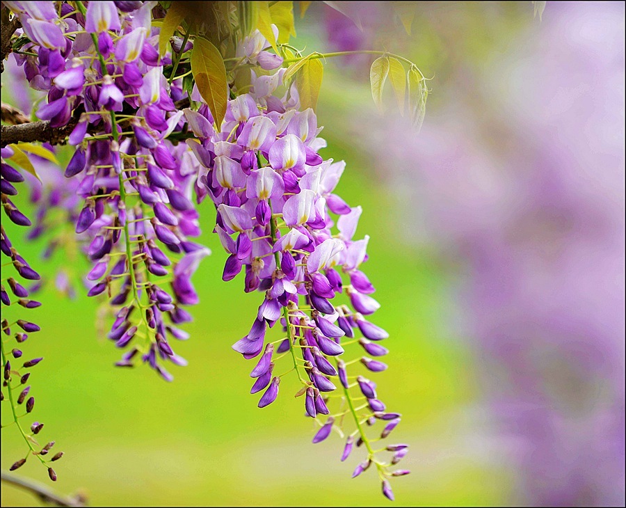 1628685046950417.jpg 1628685046950417.jpg