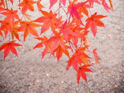 1628767616177861.jpg 1628767616177861.jpg