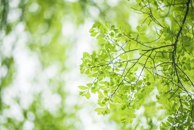 1628768489836279.jpg 1628768489836279.jpg