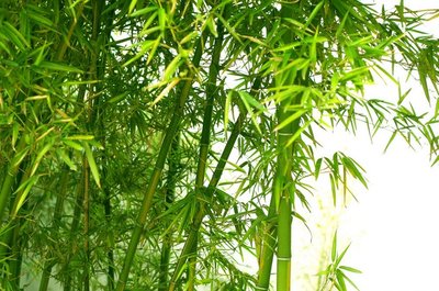 1628768656592977.jpg 1628768656592977.jpg