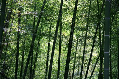 1628768741527775.jpg 1628768741527775.jpg