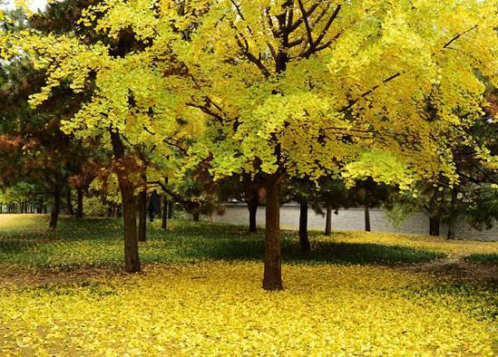 1628770275426497.jpeg 1628770275426497.jpeg