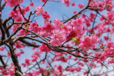 1628770470721116.jpg 1628770470721116.jpg