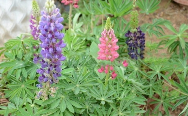 1628774619940429.jpg %PJ@_{DI89[8(OD``WI)IXC.jpg