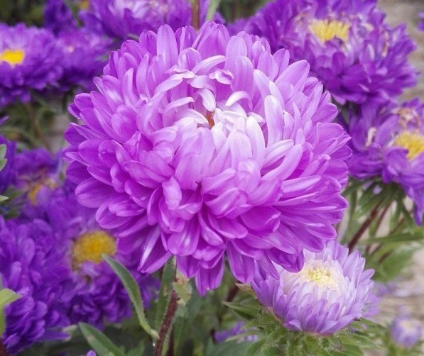 1628775338292801.jpg L}U62POQVS`3)8@7PZDAJ14.jpg