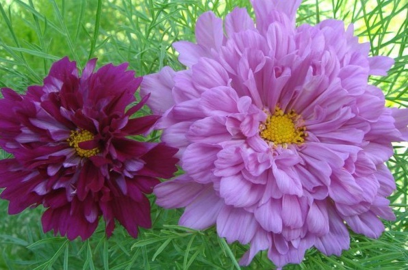 1628776327694722.jpg RF[G5(AEM6$TJT3_I4VXBKW.jpg