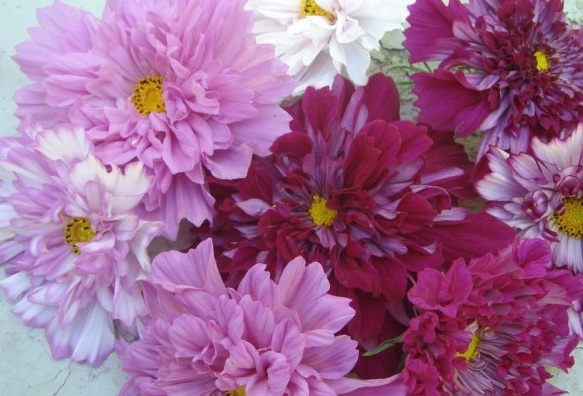 1628776379691039.jpg 2D7H[QGWQX1[CO9)7JLZK2W.jpg