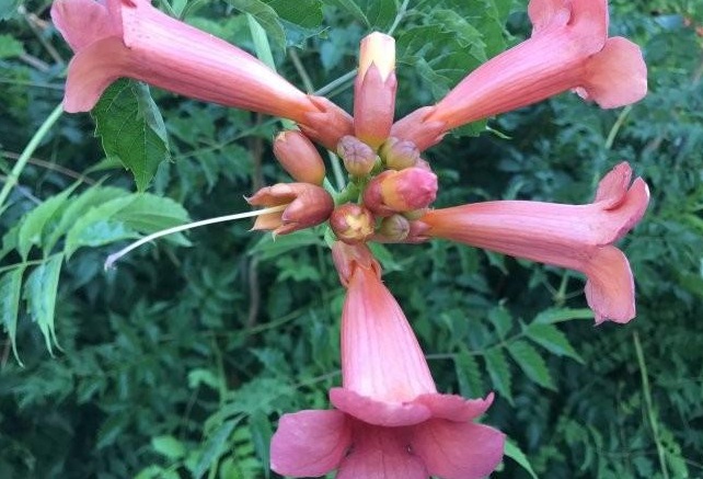 1628778132171697.jpg PI3L$DHFUIX3`IH9$Z(@}4A.jpg