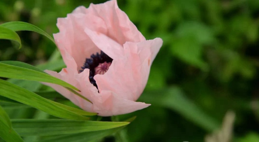 1628778229193197.jpg K5ZI9K[EVJ@{E19BQS`~8EN.jpg